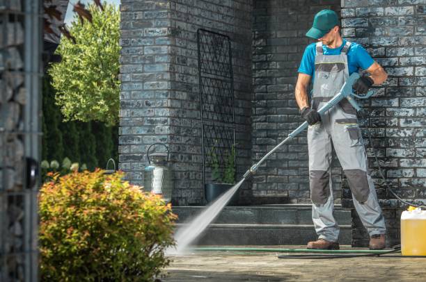Animal Enclosure Cleaning in Union, NJ